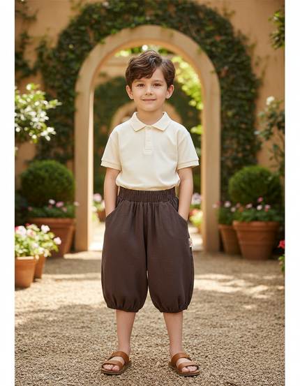 Pantalon Chinois En Lin - Marron